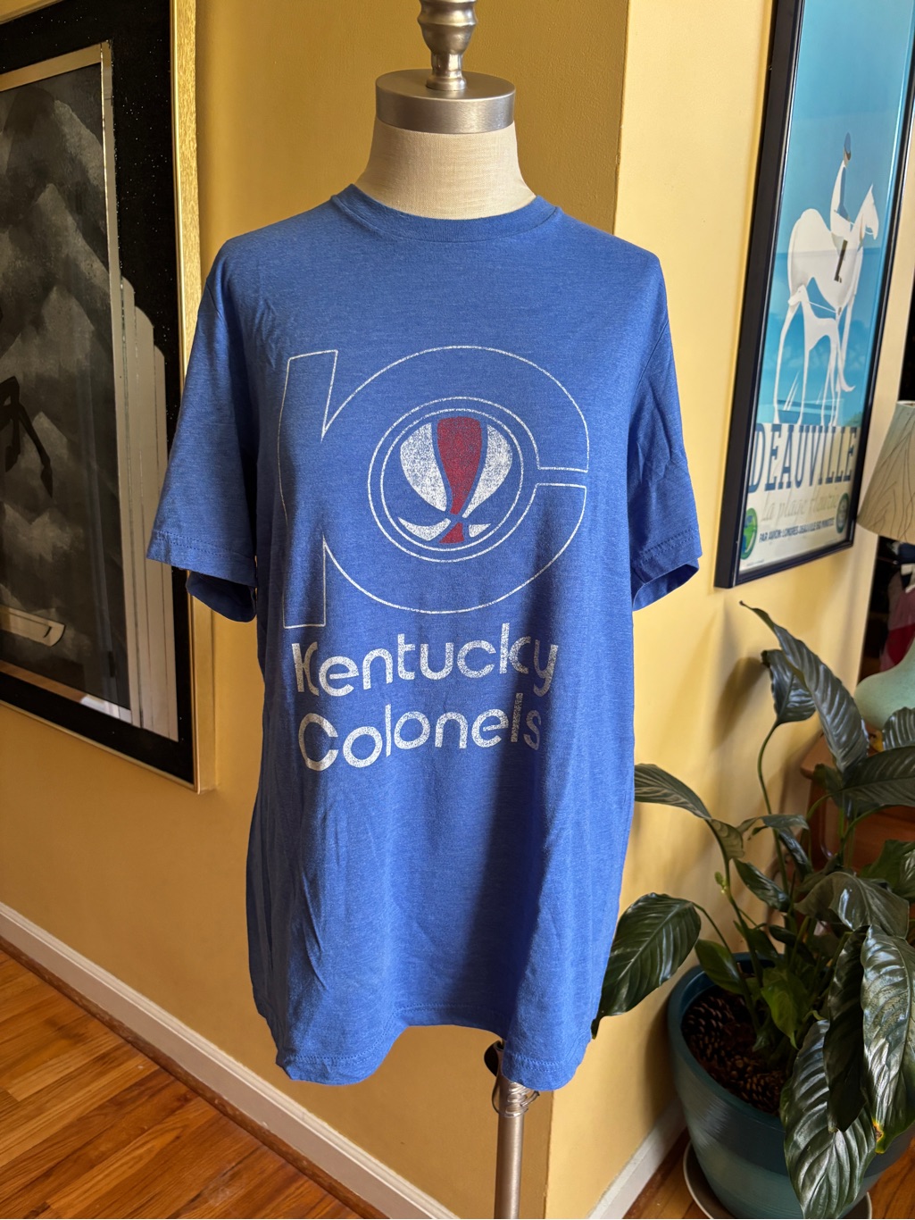Kentucky Colonels Tshirt